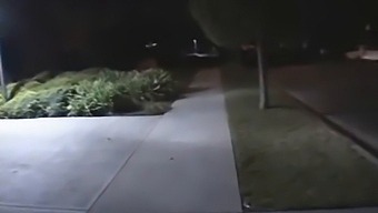 Wild Group Sex And Hardcore Action At A Raucous Bash